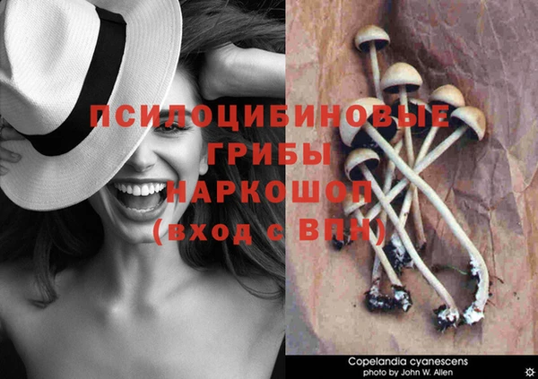 apvp Красноперекопск
