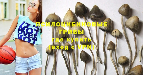 apvp Красноперекопск
