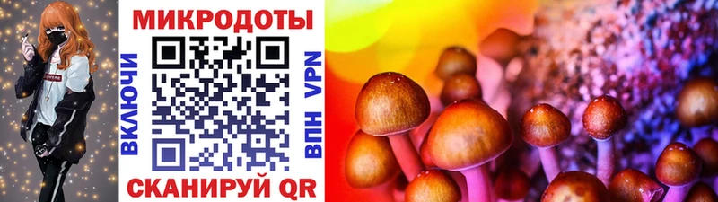Галлюциногенные грибы Magic Shrooms купить Морозовск