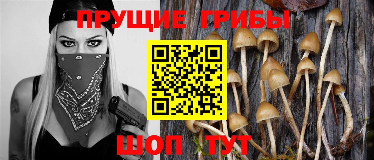 Морозовск  Псилоцибиновые грибы Psilocybe  Вход с VPN  Галлюциногенные грибы ЛСД 