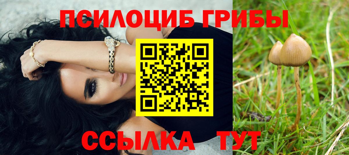 Псилоцибиновые грибы мицелий Морозовск